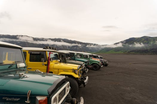 Adaptive Camouflage: Cars That Blend with Their Environment